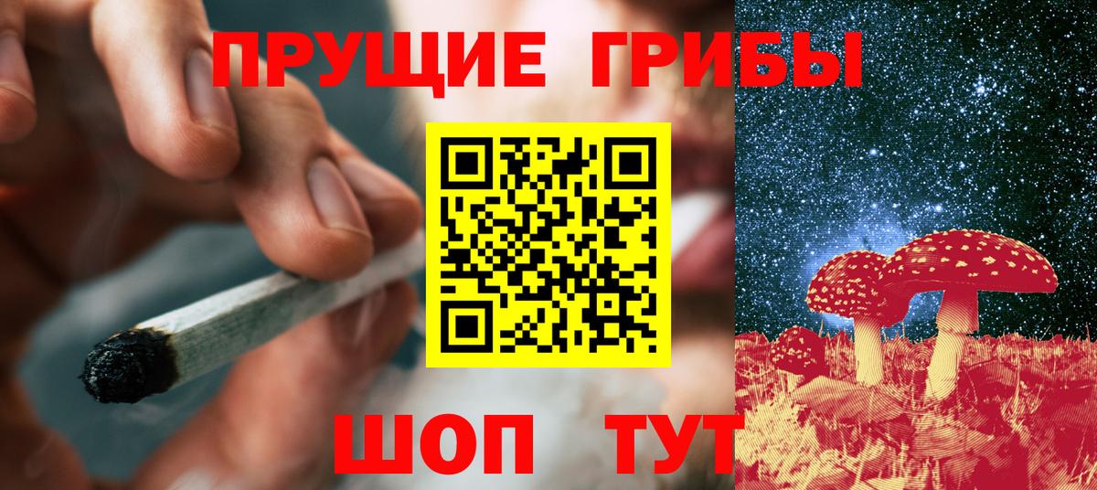 Вичуга  Галлюциногенные грибы Magic Shrooms  Вход с VPN 